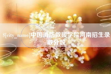 睢县中国消防救援学院河南招生录取分数