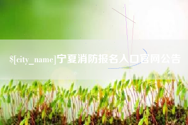 睢县宁夏消防报名入口官网公告