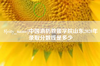 睢县中国消防救援学院山东2020年录取分数线是多少