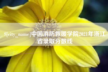 睢县中国消防救援学院2021年浙江省录取分数线