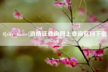 睢县消防证查询网上查询官网下载
