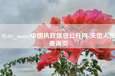 睢县中国执政信息公开网-失信人员查询页