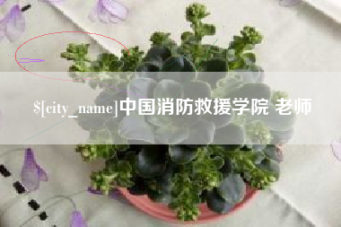 睢县中国消防救援学院 老师