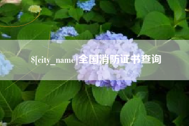 睢县全国消防证书查询
