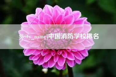 睢县中国消防学校排名