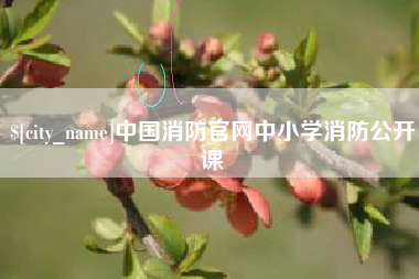 睢县中国消防官网中小学消防公开课
