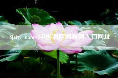 睢县中国消防网官网入口网址