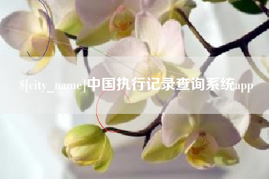 睢县中国执行记录查询系统app