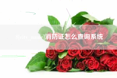 睢县消防证怎么查询系统