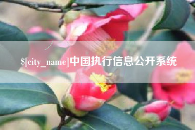 睢县中国执行信息公开系统