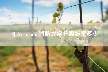 睢县消防大学分数线是多少