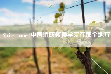 睢县中国消防救援学院在那个地方