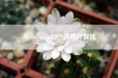 睢县2021消防分数线