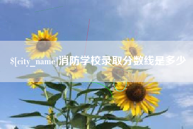 睢县消防学校录取分数线是多少