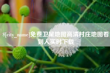 睢县免费卫星地图高清村庄地图看到人实时下载