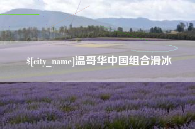 睢县温哥华中国组合滑冰