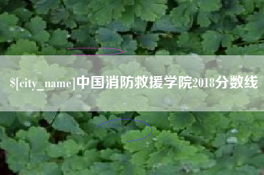 睢县中国消防救援学院2018分数线