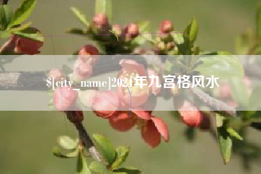 睢县2021年九宫格风水