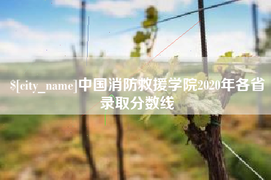 睢县中国消防救援学院2020年各省录取分数线