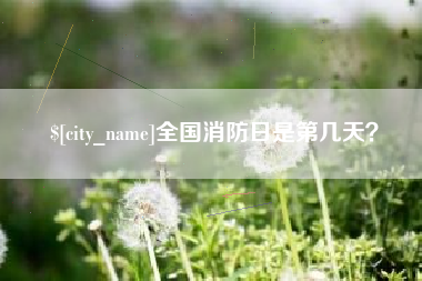 睢县全国消防日是第几天？