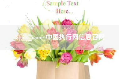 睢县中国执行网信息官网
