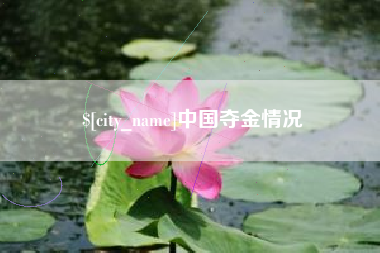 睢县中国夺金情况