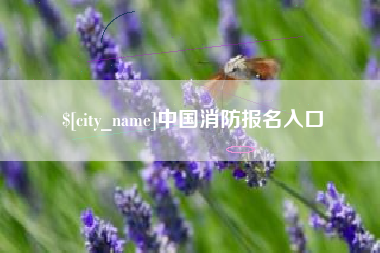 睢县中国消防报名入口