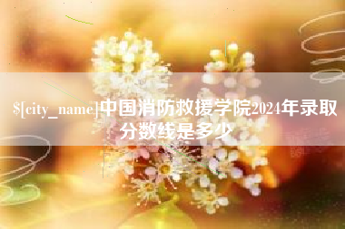睢县中国消防救援学院2024年录取分数线是多少