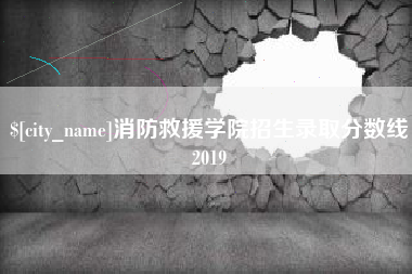 睢县消防救援学院招生录取分数线2019
