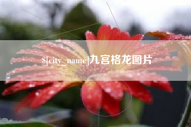 睢县九宫格龙图片