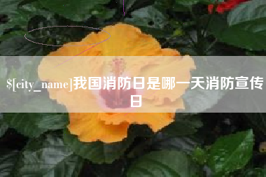 睢县我国消防日是哪一天消防宣传日