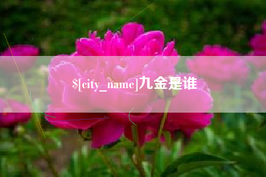 睢县九金是谁
