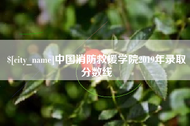 睢县中国消防救援学院2019年录取分数线