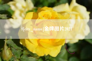睢县金牌图片2021