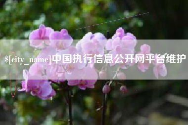 睢县中国执行信息公开网平台维护