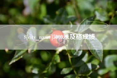 睢县5000米及格成绩