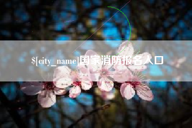 睢县国家消防报名入口