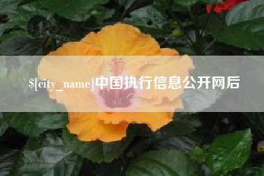 睢县中国执行信息公开网后