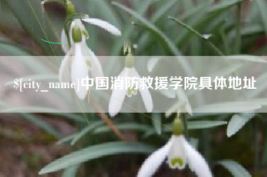 睢县中国消防救援学院具体地址