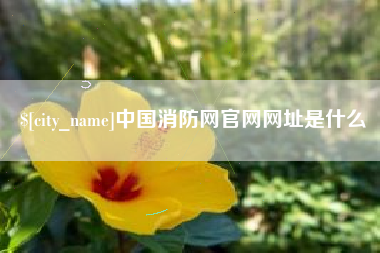 睢县中国消防网官网网址是什么