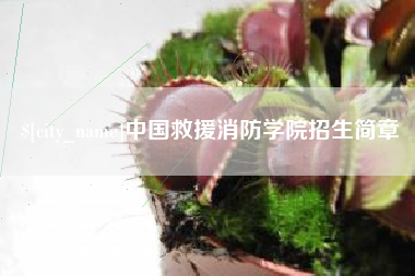 睢县中国救援消防学院招生简章