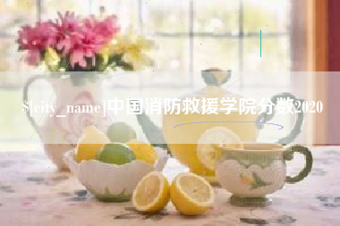 睢县中国消防救援学院分数2020