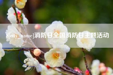 睢县消防日全国消防日主题活动