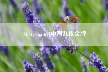 睢县中国九枚金牌
