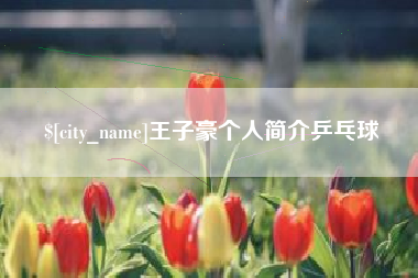 睢县王子豪个人简介乒乓球