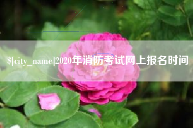 睢县2020年消防考试网上报名时间