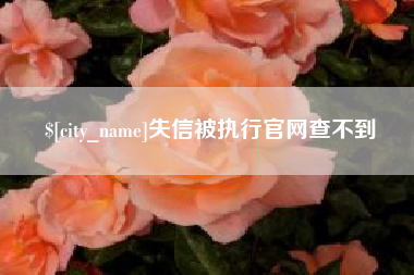 睢县失信被执行官网查不到