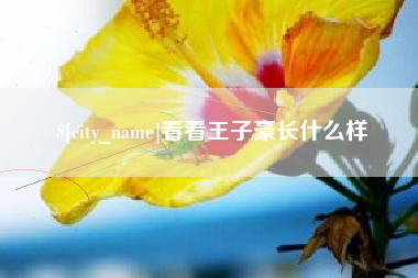 睢县看看王子豪长什么样