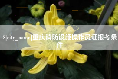 睢县重庆消防设施操作员证报考条件