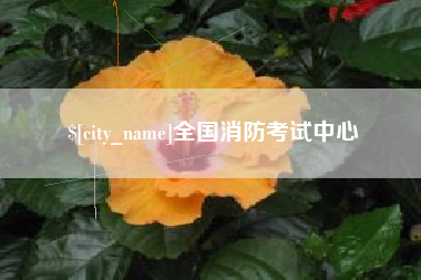 睢县全国消防考试中心